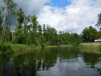 Krutinnen (7)