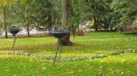 Kurpark mit interessanter Bepflanzung 