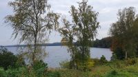Landzunge zwischen Sarabensee und Dratzigsee