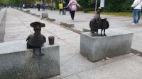 Marians in der ganzen Stadt 