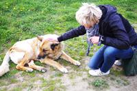 Masuren - Silke und die Hunde