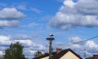 Masuren - Storchendorf