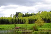 Masuren - auf dem Bauernhof bei Eulalia
