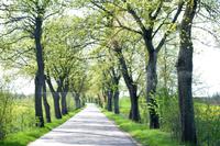 Masurische Allee