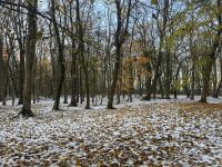 Meerespark