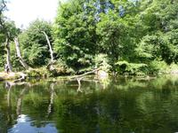 Natur (3)