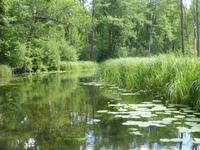 Natur (6)