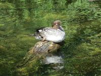 Natur5