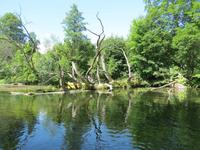 Natur9