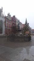 Neptunbrunnen am Langen Markt