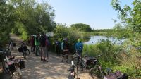 Radgruppe im ornithologischen Naturschutzgebiet Salzmorast bei Kolberg
