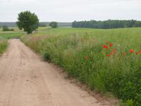 Radtour Tag 2