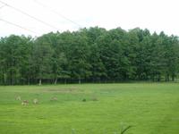 Radtour Tag 7