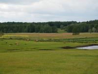 Radtour Tag 7