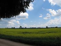 Radtour von Sensburg über Sehesten nach Nikolaiken 
