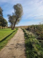 Radweg am See