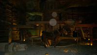 Salzbergwerk Wieliczka