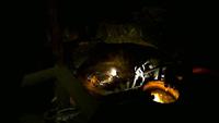 Salzbergwerk Wieliczka