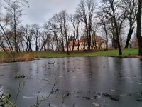Schlossgarten 