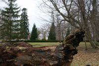 Schlosspark