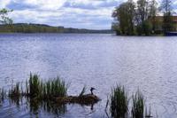 Sensburg - Czos See