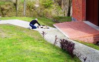 Silke und die Hunde