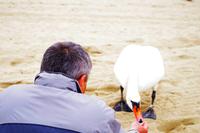 Sopot - Strand