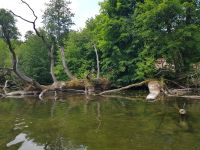 Staakenbootfahrt auf der KRUTINNEN (7)
