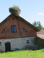 Storchennest