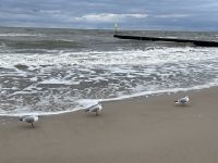 Strand Kolberg