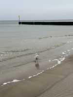 Strand von Kolberg