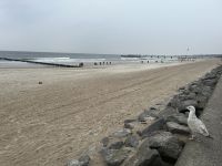 Strand von Kolberg
