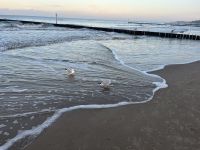 Strand von Kolberg