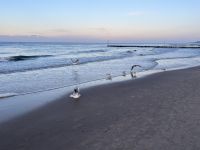 Strand von Kolberg