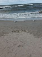 Strandblick