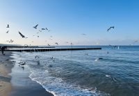 Strandspaziergang