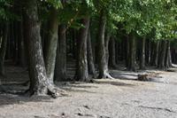 Studnica See