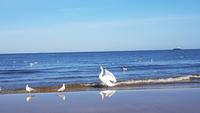 Swinemünde, Strand