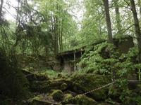 Verfallene Bunkeranlagen in der Wolfsschanze