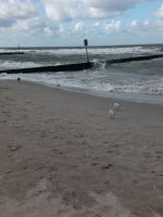 Wind und Wellen