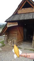 Witow, Käsehütte Bacowka, Goralenkäse