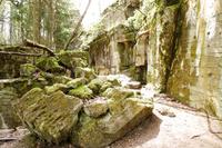 Wolfsschanze