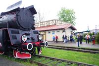 Zugfahrt in den Buckelmasuren