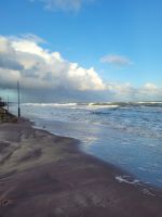 am wilden Meer