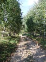 masurische Radwege