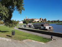 wunderbares Wetter an der Weichsel - Blick zum Wawel