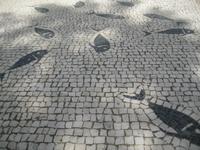 Sardinenschwarm auf der Straße