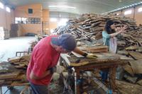 Besuch einer Korkfabrik