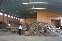 Besuch einer Korkfabrik