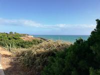 Küste bei Carvoeiro